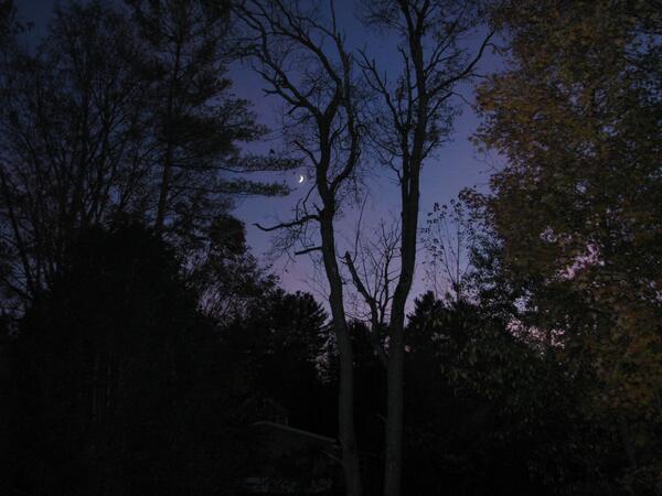 Another evening picture.