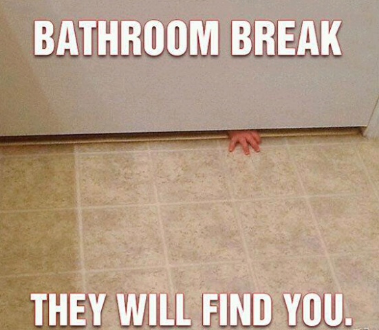 MumsInMind1's tweet photo. haha The bathroom break - this made me laugh! http://t.co/hNlx9Z9l4y