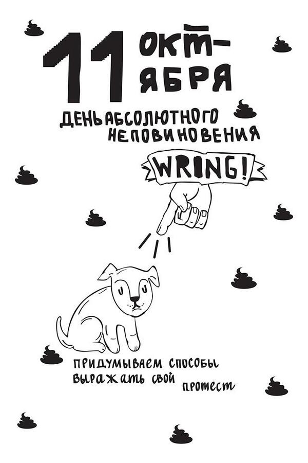 dasha tweet media