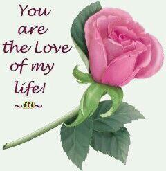 fooor9 tweet picture