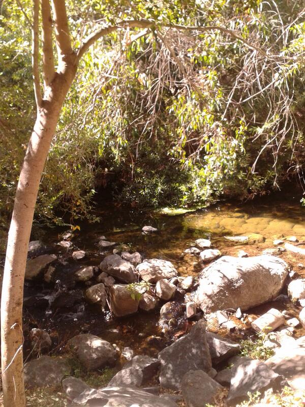 phof1904's tweet photo. If you #look to #deep you'll wander out of #shallow water. http://t.co/CDGBEAuMju