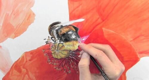 AandImagazine's tweet image. VIDEO: How to paint a bumble bee in watercolour by Anna Mason bit.ly/1aq4oLV