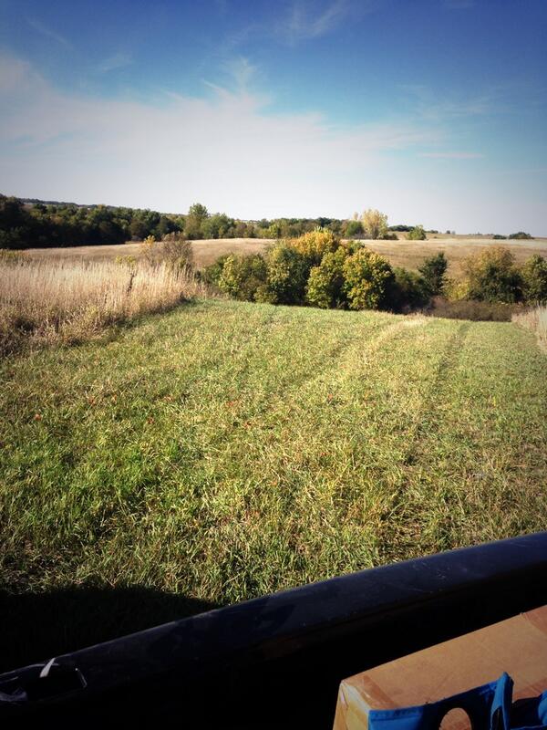 Shelbi_blair's tweet image. Day 1 Missouri #scoutin