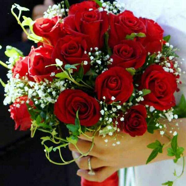 8Elsayed8727's tweet photo. http://t.co/94L0jvji0I