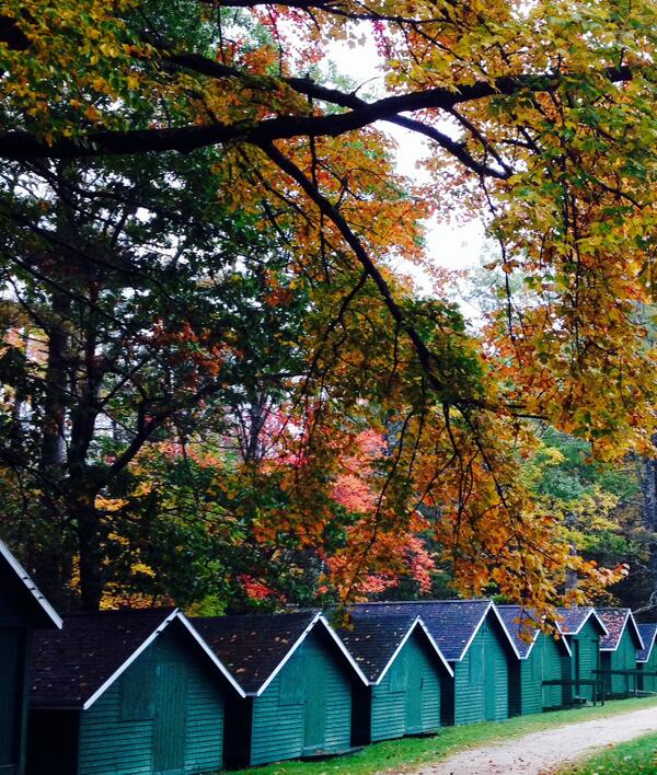 TrippLakeCamp's tweet image. Beautiful fall colors frame bunks at Tripp Lake Camp.