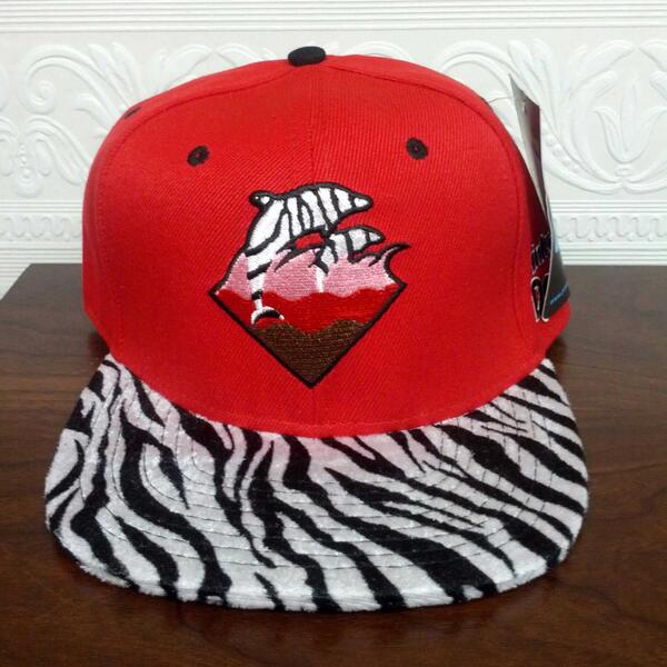 greatsnapbacks's tweet image. Purchase this hat and more here bit.ly/1b8eRRj