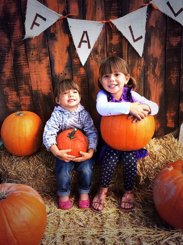 Superstition Farm tweet media