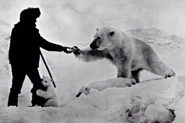 AnimalPlanetPic's tweet photo. Los animales son para apreciarlos y fotografiarlos. JAMÁS para cazarlos. http://t.co/i0WIiDKLuY
