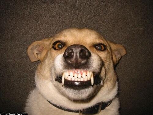 _hidog's tweet image. อากาศตอนเช้านี่สดใสดีนะ #เช้าพ่อ #ง