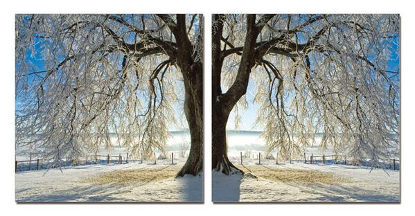 DecosoftART's tweet image. Cool style