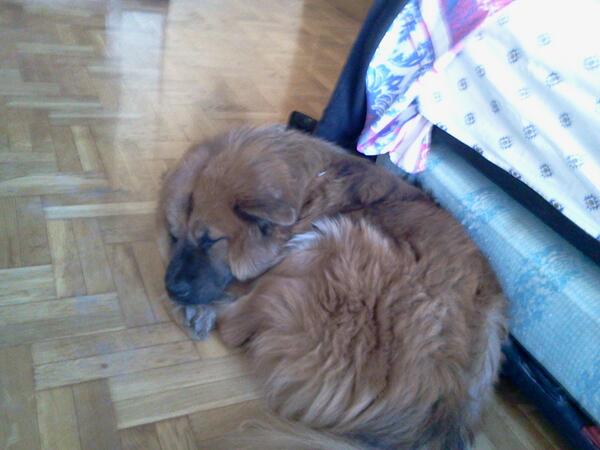 RastaTxemi's tweet photo. Qe peqeeeñin es cuaando dueeerme:)ajaja http://t.co/GWqgI1umER
