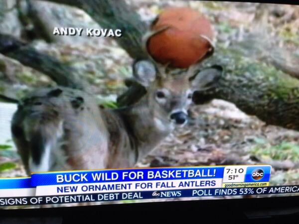 TimBlevinsHFF's tweet photo. BREAKING NEWS: Buck Wild for Basketball! #morninglulz http://t.co/vSQbBlSHh7