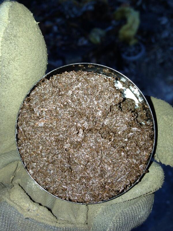 Grilldcheezy716's tweet image. No better feeling in the world #fulltin