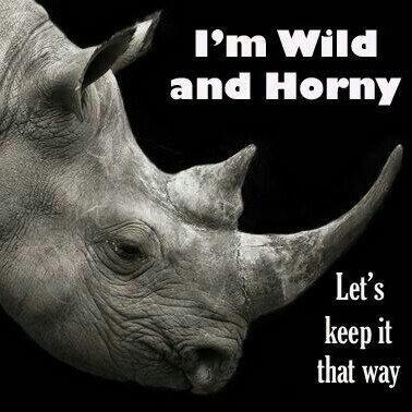 keancarmi's tweet image. I'm Wild and Horny!     Let's keep it that way.