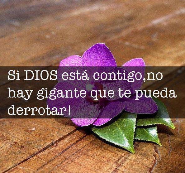 solebustos7's tweet photo. http://t.co/v2SrvjzVHS