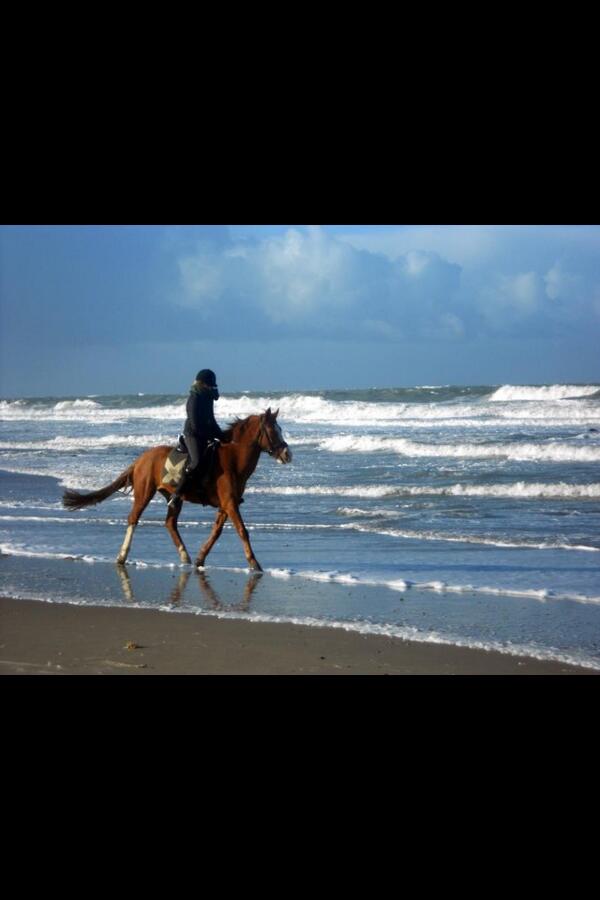 Hopen dat we de mogelijkheid krijgen dit ooit nog eens samen te kunnen doen
