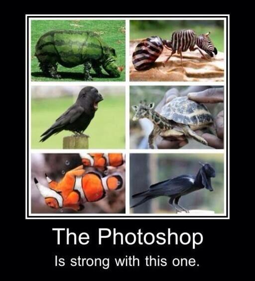 Dylan james tweet media