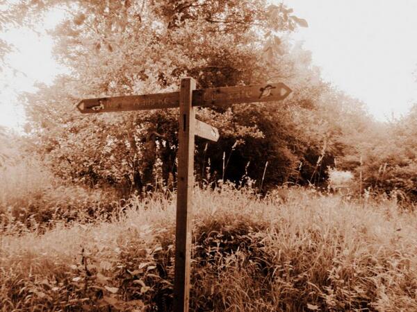 PhotographyNJC's tweet photo. #Winchester #photography #wildlife Lovely walk in the wildlife park! http://t.co/CQuCiEbmRG