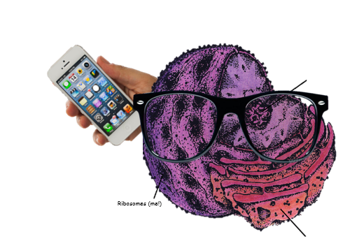 RiboSwag's tweet photo. @LeJeuneScience Me on my way to win this campaign. #RiboSWAG #Dontmesswiththebest http://t.co/2ToKKrfQMa
