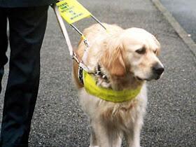 We loved meeting Pearl and her guide dog Tyler today (this isn't Tyler, i forgot to get a photo!)