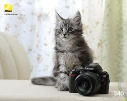 AUB Photography tweet media