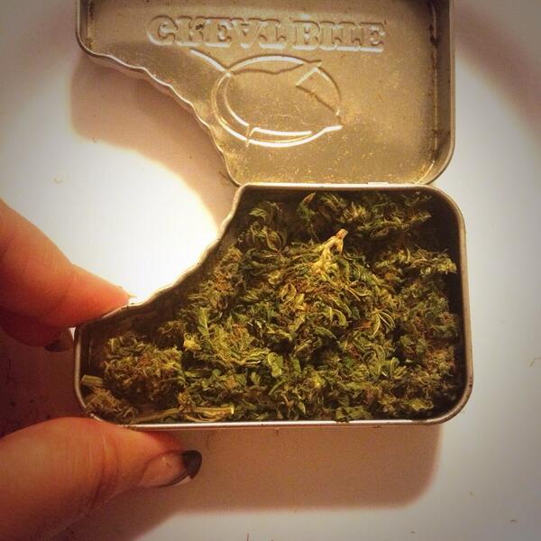 _chasingfreedom's tweet image. @HappyCampersTHC #fulltin #happycamper #weed #nugporn