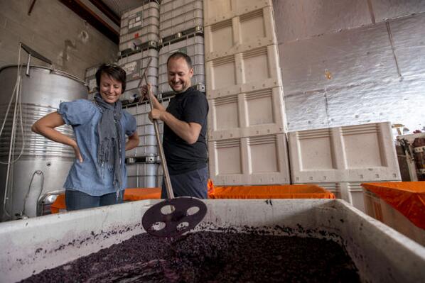 Lodi Wine tweet media