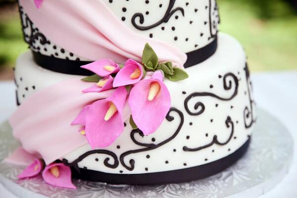 STLWeddingGuide's tweet image. 11 Essential Questions to Ask Your Prospective Wedding Cake Baker! Check out our latest blog!  blog.wherebridesgo.com
