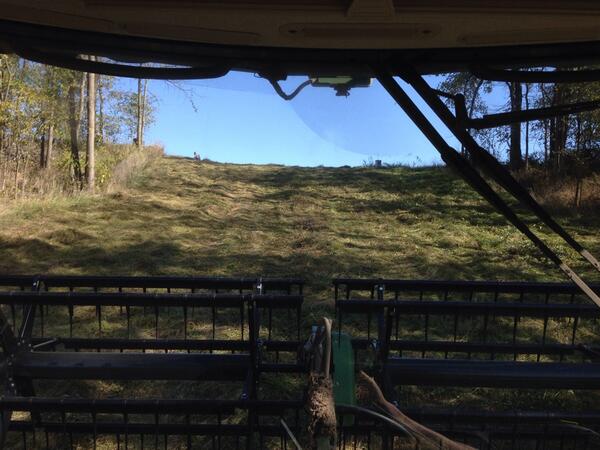 NewVisionFarms's tweet image. Into the Abyss... #riverbottom #harvest13 #toosteeptodrivedown