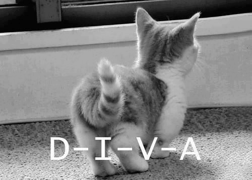 NatashaFFM's tweet photo. http://t.co/YYcNe4Iui1