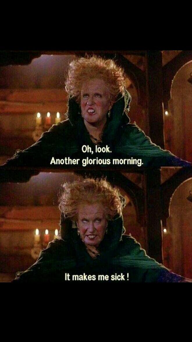 hedara on Twitter "“HocusPocus1993 Oh look, another glorious morning