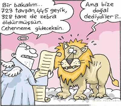 Coskun (@joshqun) on Twitter photo 