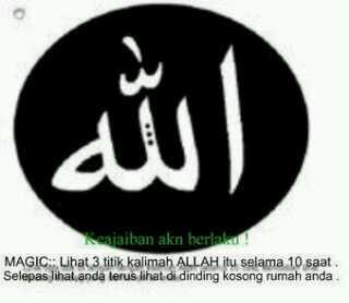 TweetHambar__'s tweet photo. MasyaAllah http://t.co/fjJleVPcHq