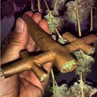 DallasGraffiti's tweet photo. #RealStoner http://t.co/csctoi6dKH