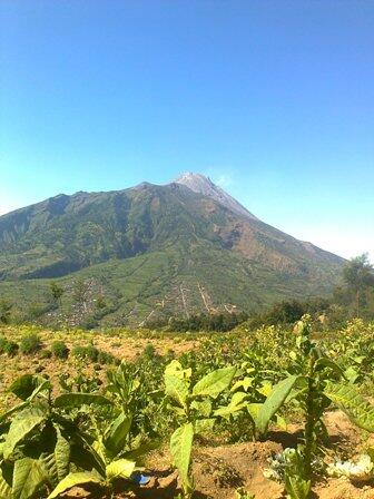 Solutif Ala Bu Tejo Sosok Solusional Dan Klinik Aborsi Halaman 1 Kompasiana Com