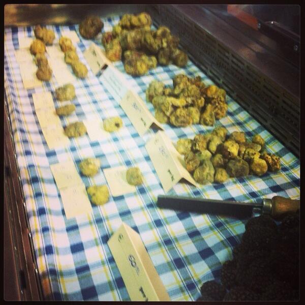 traveltheboot's tweet photo. Profume of autumn. White truffle Alba, Piedmont http://t.co/FtH9KwlAVZ