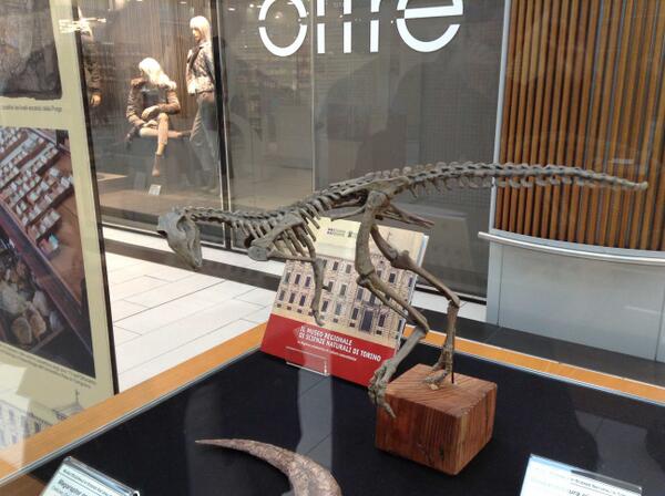 Un piccolo #Dino del #MuseoScienze è in Area12 .. e magari dopo <a href="/AeroportoTorino/">Aeroporto di Torino</a> chissà che non si sposti anche ..