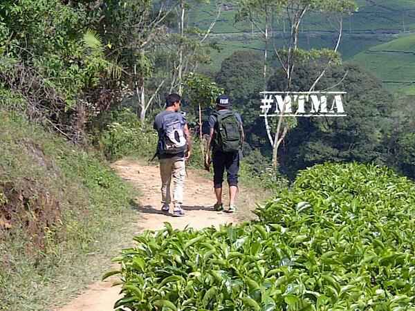 My Trip My Adventure tweet media