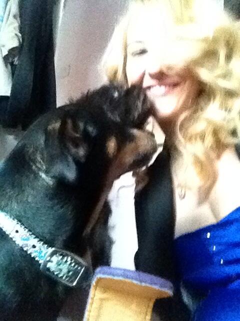 #DoggiesLoveKatie #Cuties http://t.co/giI61T9BAx<a href="/tag/doggieslovekatie"class="tags">#DoggiesLoveKatie</a><a href="/tag/cuties"class="tags">#Cuties</a>