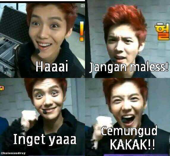 ExoForINA1 tweet picture