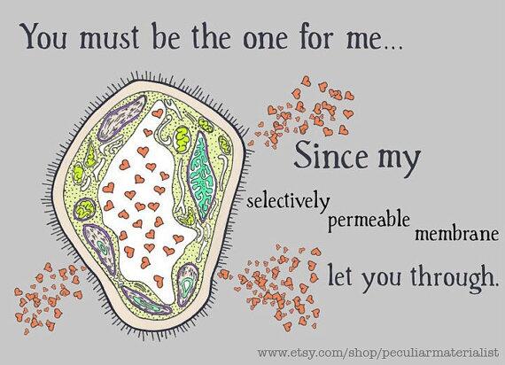 Biology Puns on Twitter: "My selectively permeable membrane let you through