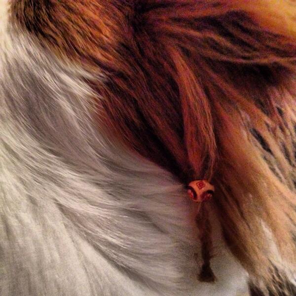 MadisonTitan's tweet photo. My dog had a naturally formed dread lock. So of course I did this... http://t.co/eaOwk76zAF