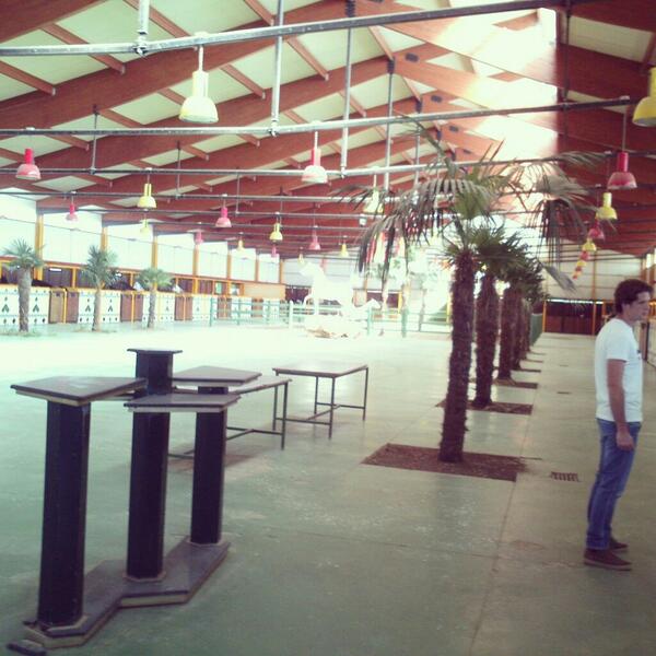 Nerewii's tweet photo. Muy buena  mañana en Complutum Arabians! #caballos #arabitos #boquiabierta http://t.co/97E2gNCcT1