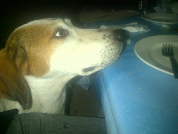 En son tabagi biraktim comara