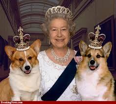 SunnydMTV's tweet photo. Broke Queen Mum Receives Stimulus Package from Taxpayers to Keep Her Afloat| http://t.co/Vva7nyGzdF | http://t.co/W6eiem6zRP