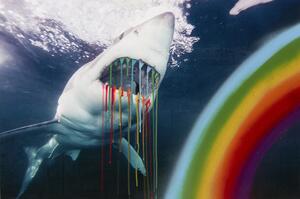 wwwbigbaldhead's tweet image. One more day!!! I’m so excited!!