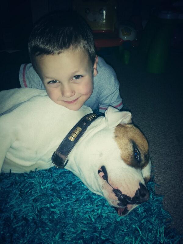 Mathew Ellis tweet media