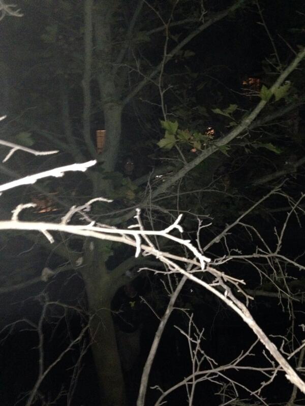 Best friend spotting. #treeclimbers #demoneyes