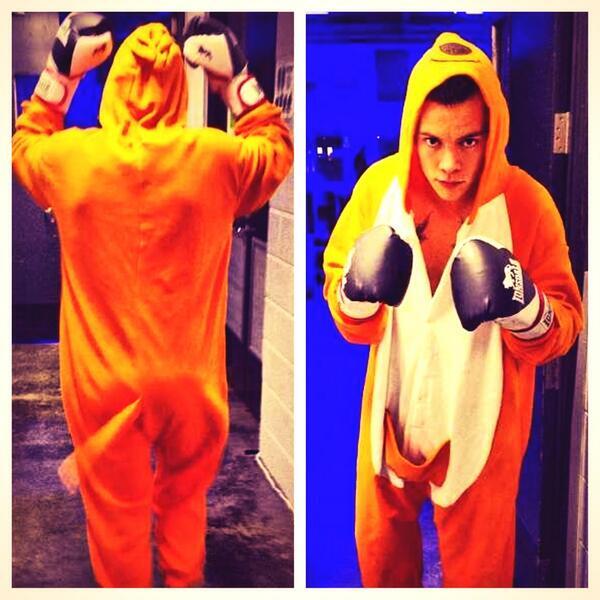 onedire_23's tweet photo. El Instagram de 1D revelo el 11/Octubre que Harry era quien se había disfrazado el 10/Octubre de un canguro http://t.co/Jb9WOK6tVO