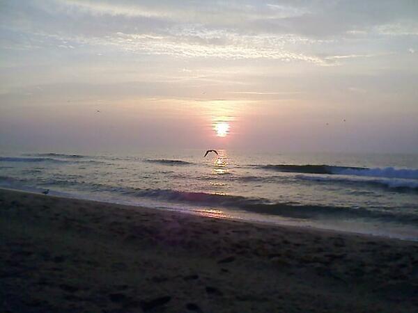 RottoTony's tweet image. 